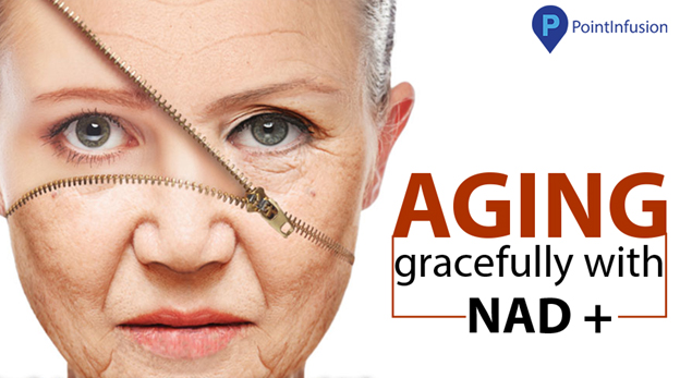 Read more about the article Aging gracefully with NAD+